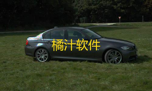 万能透视软件下载橘汁软件